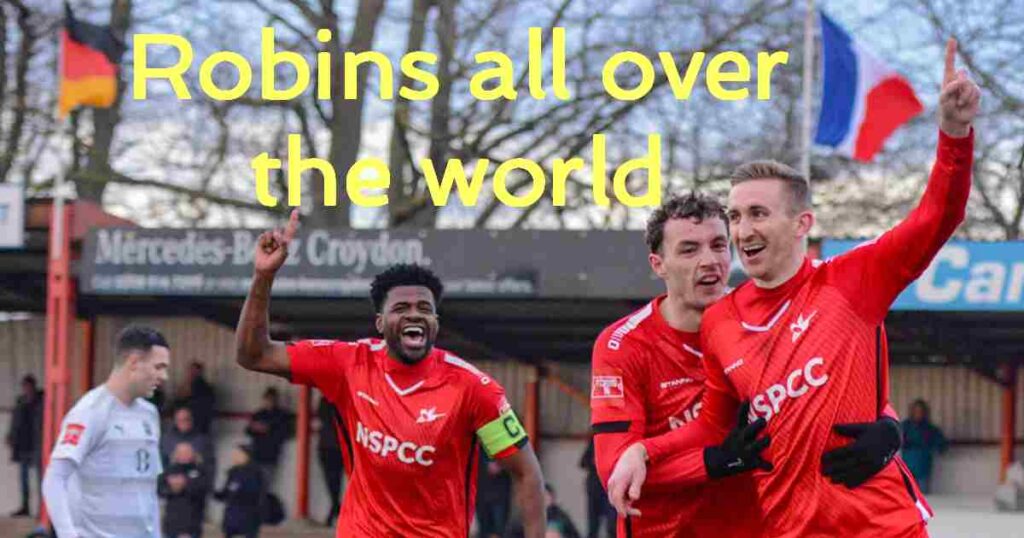 Robins All over the world